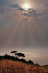 Similar image 679441