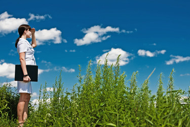 Similar image 679472