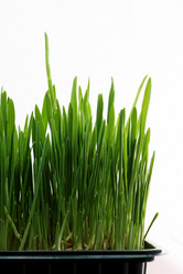 Similar image 679520