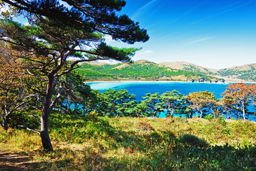 Similar image 679521