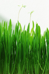 Similar image 679523