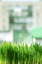 Similar image 679525