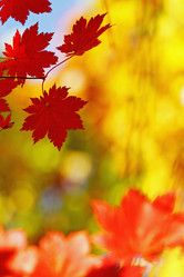 Similar image 679530