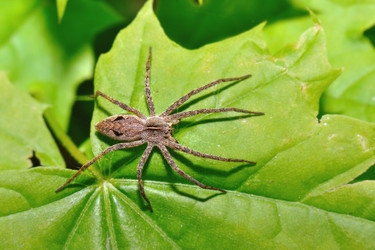 Similar image 679581