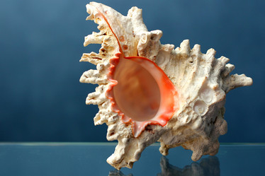 Similar image 679585