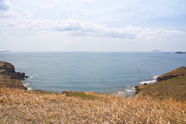 Similar image 679631