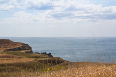 Similar image 679633