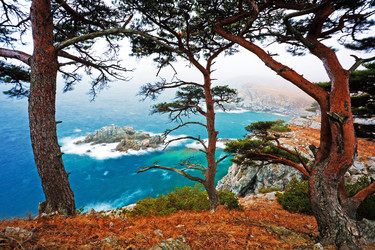 Similar image 679658