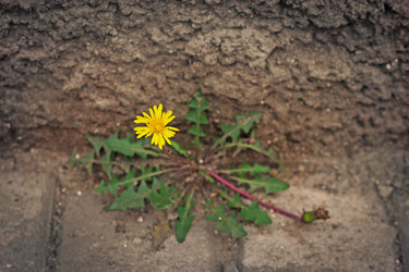 Similar image 679663