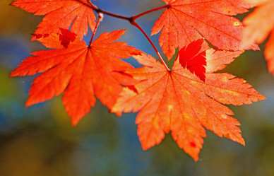 Similar image 679673