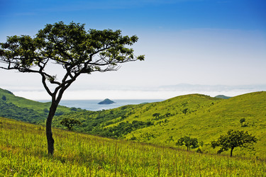 Similar image 679696