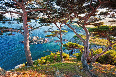 Similar image 679745