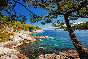 Similar image 679748