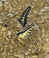 Similar image 679774