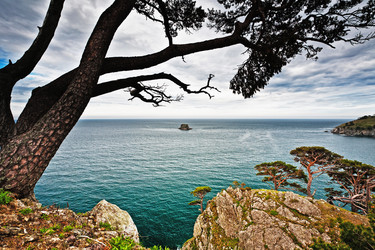 Similar image 679803