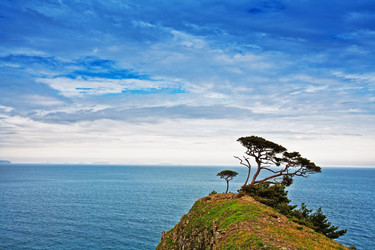 Similar image 679808