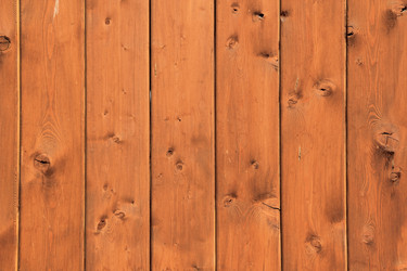 Similar image 679846