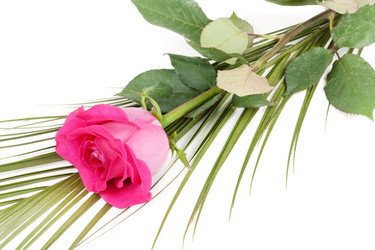 Similar image 679872