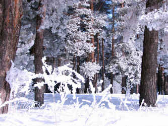 Similar image 680157