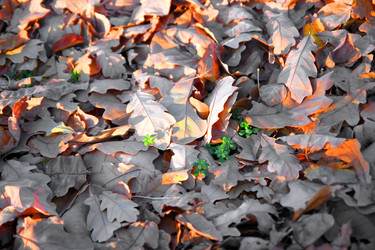 Similar image 680179