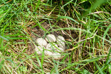 Similar image 680231