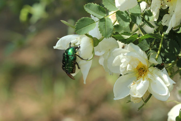 Similar image 680254