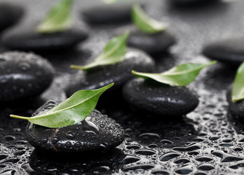 Similar image 680298