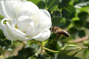 Similar image 680308