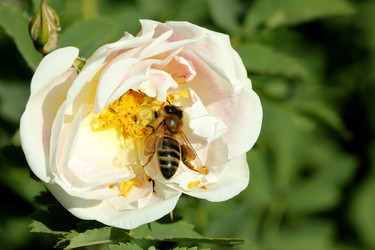 Similar image 680309