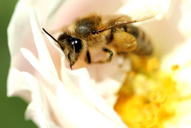 Similar image 680311