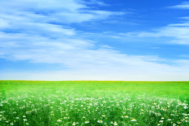 Similar image 680348