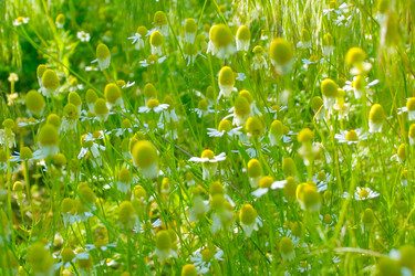 Similar image 680349