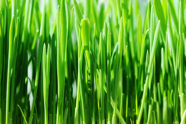 Similar image 680353