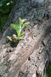 Similar image 680359