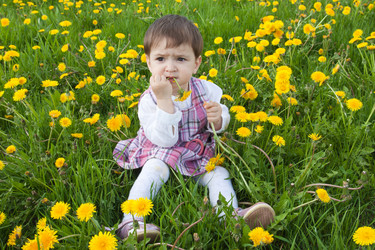 Similar image 680394