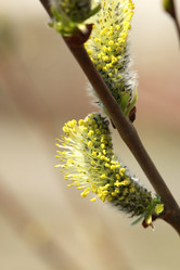 Similar image 680417