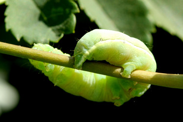 Similar image 680419