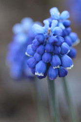 Similar image 680420