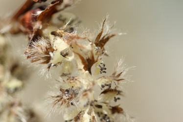 Similar image 680424