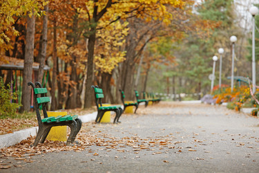 Similar image 680509