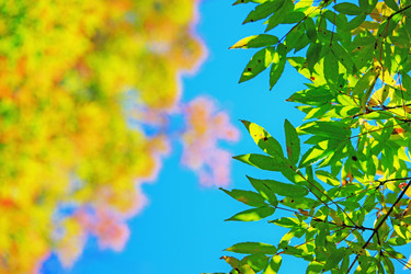 Similar image 680513