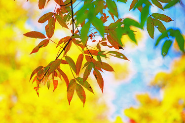 Similar image 680518