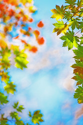 Similar image 680521