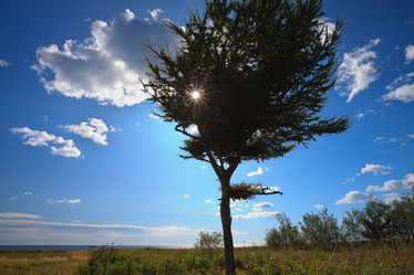 Similar image 680539