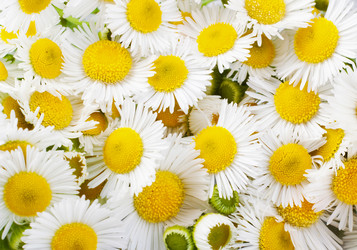 Similar image 680554