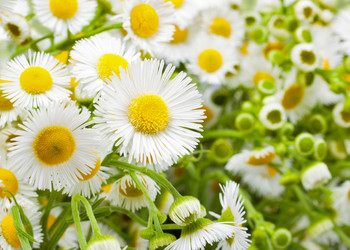 Similar image 680555