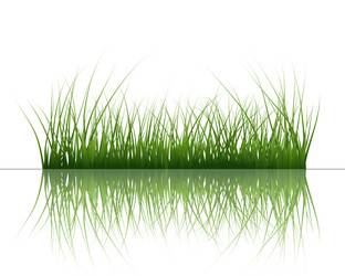 Similar image 680601