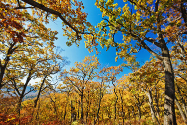 Similar image 680649