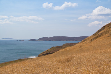 Similar image 680663