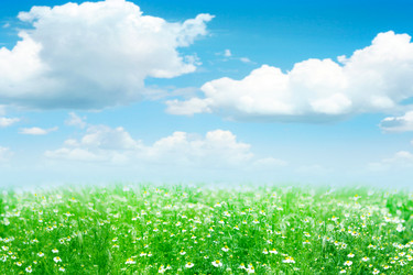 Similar image 680803